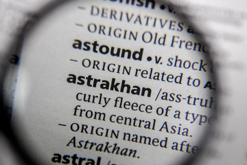 The word or phrase astrakhan in a dictionary.