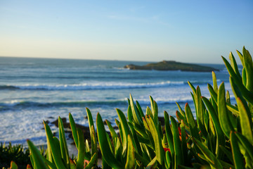 Island look © Rafael