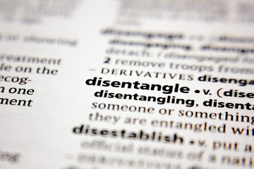 Word or phrase disentangle in a dictionary. - obrazy, fototapety, plakaty