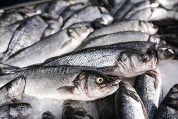 Fresh raw fish on ice in supermarket, closeup