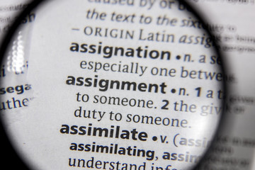 The word or phrase assignment in a dictionary. - 314680932
