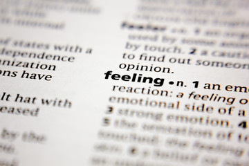 Word or phrase feeling in a dictionary.