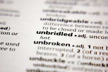 Word or phrase unbroken in a dictionary. - obrazy, fototapety, plakaty