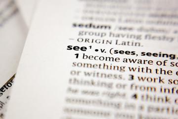 Word or phrase see in a dictionary.