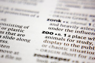 Fototapeta premium Word or phrase zoo in a dictionary.