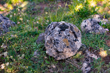 Fototapeta na wymiar Rocher rond avec de la mousse, probablement du granit. Round boulder with moss, probably granite
