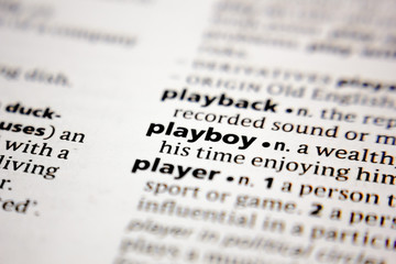 Word or phrase playboy in a dictionary.