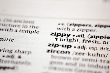 Word or phrase zippy in a dictionary.