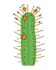 Home cactus plants or flower. Cozy cute element. Exotic or tropical succulent with prickles. Engraved hand drawn in old sketch and vintage doodle style.
