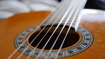 Obraz premium Macro 05