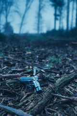 Lost pistol on ground in misty winter forest.