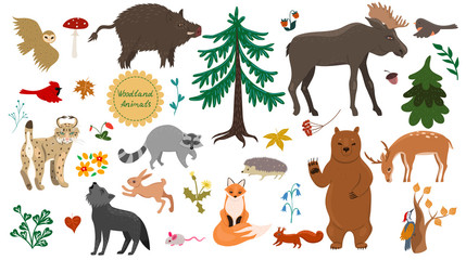 Set of forest animals, birds and plants isolated on a white background. Vector graphics.