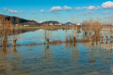 The devastating effect of a flood 