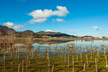 The devastating effect of a flood 