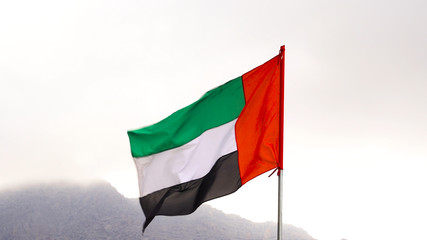 Flag of United Arab Emirates against cloudy white sky in a winter day UAE flag waving in Dubai city , national symbol of UAE. uae flag perfect for film, news, digital composition.