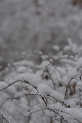 winter road season landscape frost