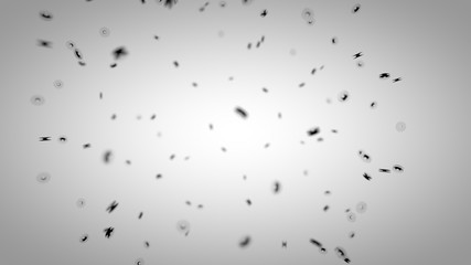 Network animation connected lines dots 