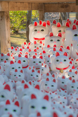 Fototapeta na wymiar 東京都世田谷区豪徳寺のお寺の招き猫