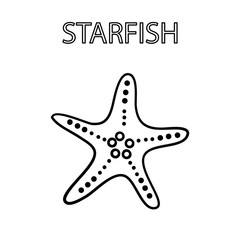 Obraz premium Starfish on white background