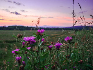 Vermont Landscapes