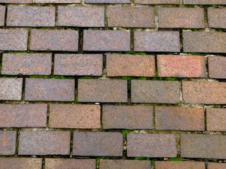 Fototapeta premium Brick 1