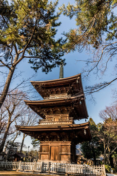 東京都世田谷区豪徳寺のお寺の塔