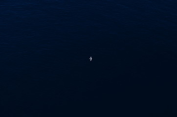 Fototapeta na wymiar the blue sea