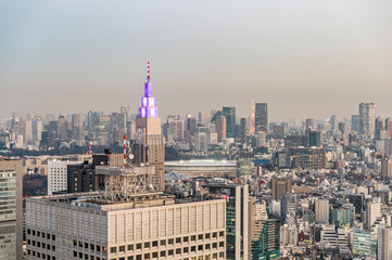 Fototapeta premium 東京都新宿区西新宿にある東京都庁から見た東京の夜景