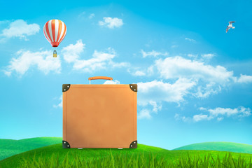 3d rendering of brown suitcase standing on green meadow under blue sky with white bird and hot air balloon in distance.
