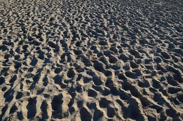 Fototapeta na wymiar footprints in the sand