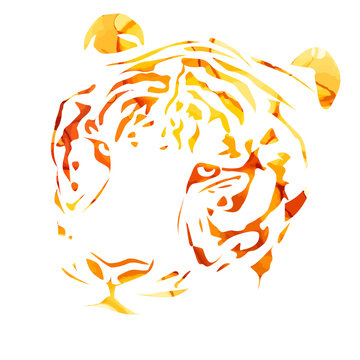The tiger's head. Mixed media. Vector illustration