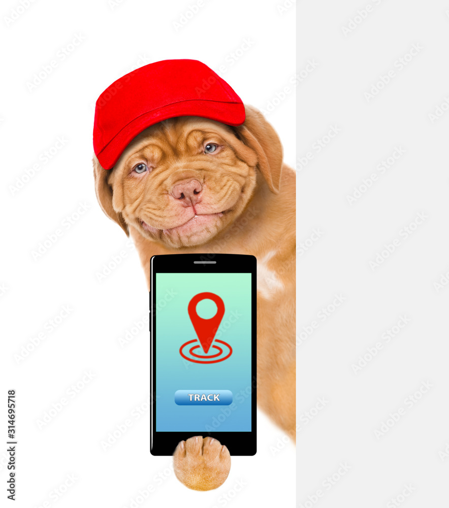 Poster Smiling puppy holds smartphone behind empty banner. isolated on white background