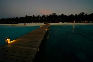 Obraz premium Kani 2018