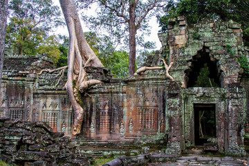 Temples of Angkor Wat  where the jungle has partially overgrown the ruins near the city of Siem Reap in Cambodia