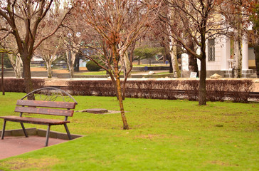 City Park in January with a bench