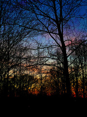 Rainbow sunset through the trees, January 2020, Gaithersburg, MD