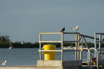 Key West moments