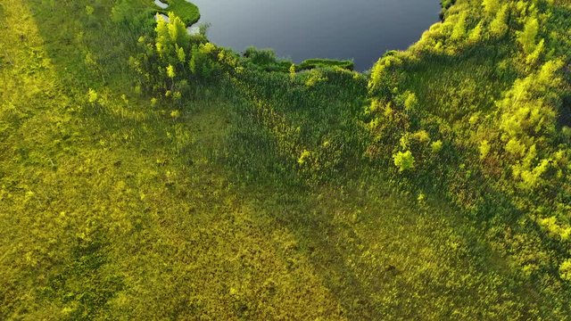 Aerial view of wild landscape with pond among grass and forest at sunny day.
