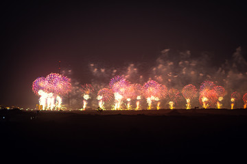 fireworks in the sky