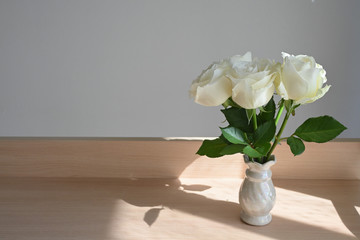 white rose blossom decoration in home, beautiful flower blooming in small vase put on wooden table with sunlight  the morning day