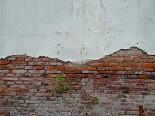 Old red brick and white painted wall