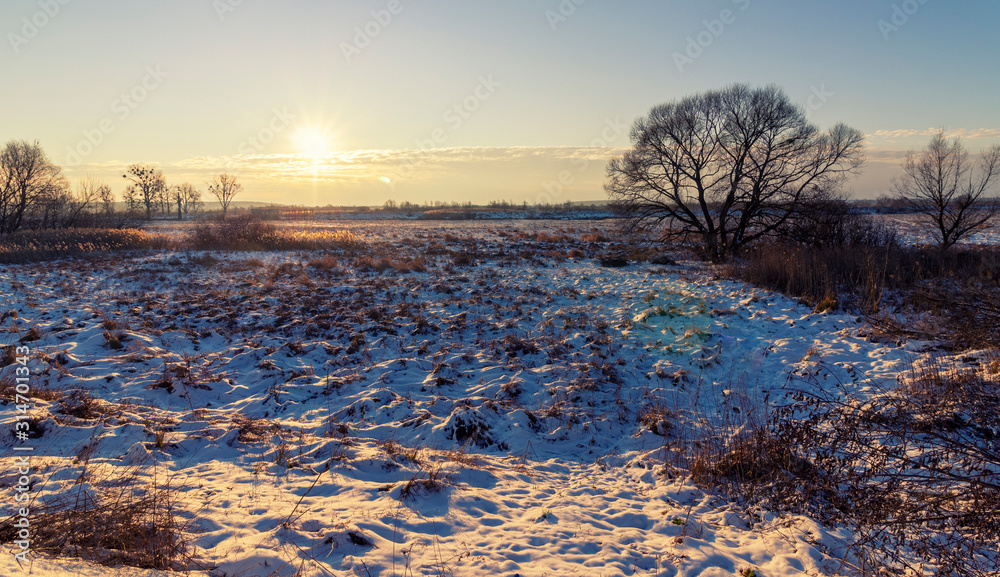 Canvas Prints Beautiful winter snowy morning landscape