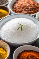 Salt and variety spices and herbs in bowls