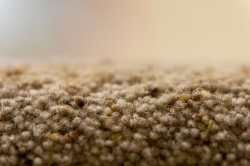 Close up of carpet