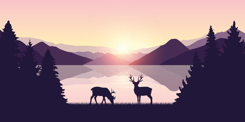 Fototapeta na wymiar two reindeers by the lake at sunrise wildlife nature landscape vector illustration EPS10