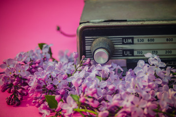 Vintage camera with beautiful background, old style