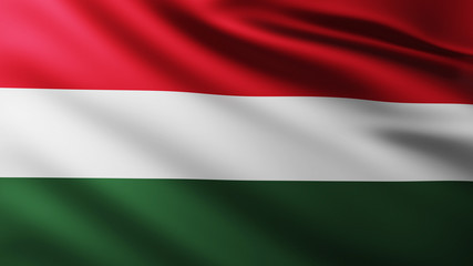 Large Hungarian Flag background in the wind