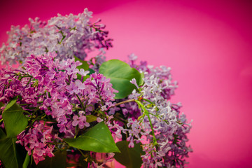Vintage floral bouqet with a beautiful pink background, all natural