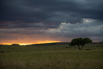 sunset over field with trees and blue sky