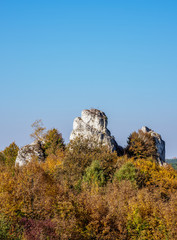 Rocks in Lutowiec, Krakow-Czestochowa Upland or Polish Jurassic Highland, Silesian Voivodeship, Poland